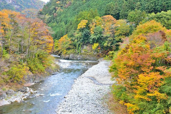 アメリカキャンプ村