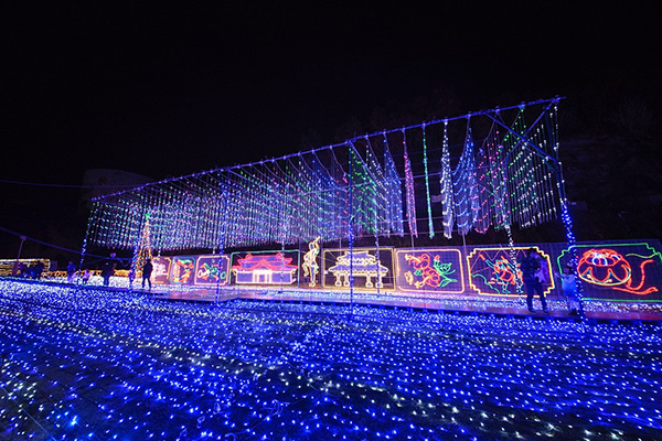 沖縄こどもの国「クリスマスファンタジー」