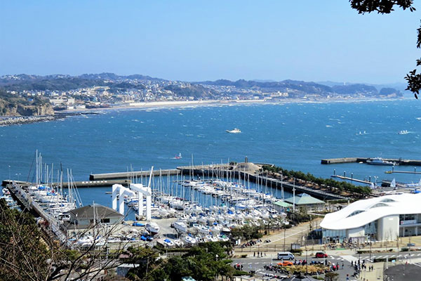 新江ノ島水族館