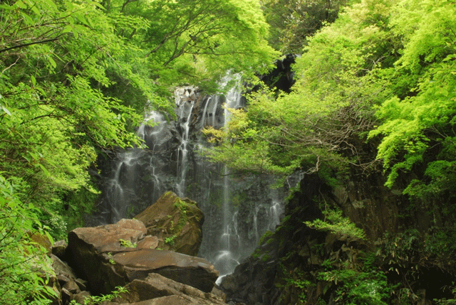 飛龍の滝