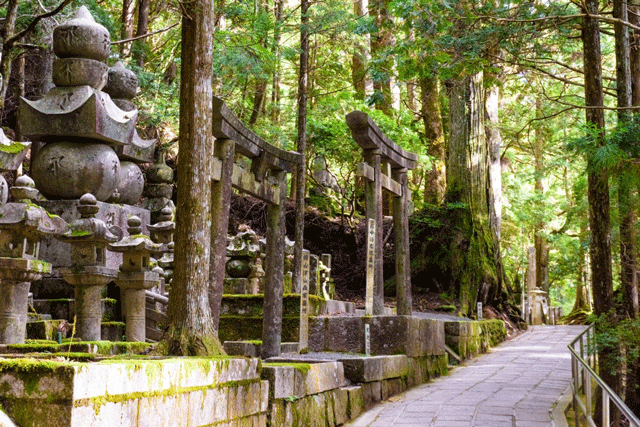 高野山