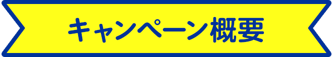 キャンペーン概要